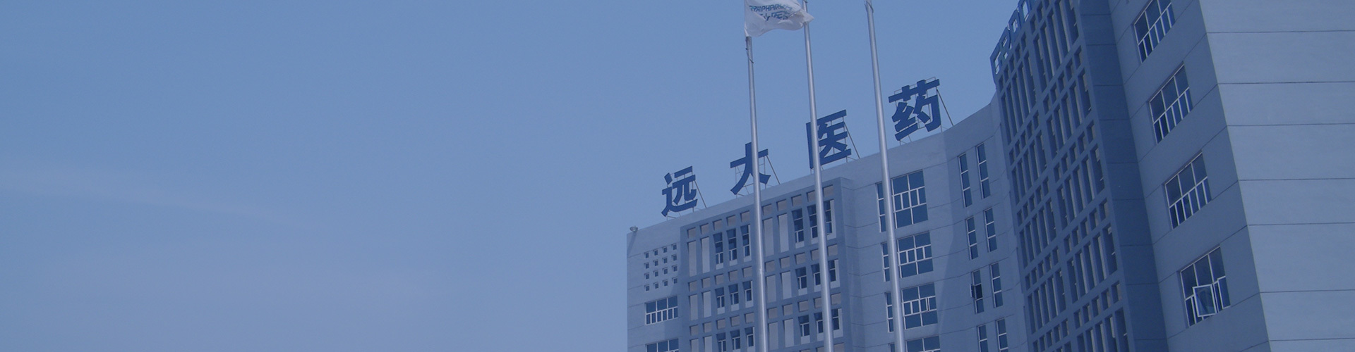 About Wuyao